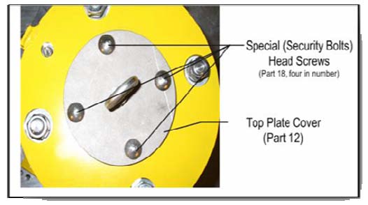 Fig. 13 : The Ludlum Model 3 Survey Meter with Model 44-9 G-M Pancake ProbeElectronic pocket dosimeter is suited for measuring the accumulated dose equivalent to X-ray of 20KeV , also used in medical service and other fields. The obtained data are stored in the battery for along time. There are three serial numbers for this device as shown in Table1