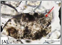 Deposit as a Source of Good Quality Kaolin and Ultra-Pure Silica Sand: Sample Characterization and Separation (Part I)