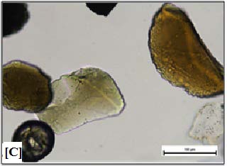 Figure 4: Particle size distribution of the kaolin product