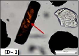 Figure 7: EDEX analysis of cavity components of an attrition sand particle ii. Evaluation of the attrition sandsThe microscopic examination of the attrition sand product shows varieties of colored and refractory minerals still present after the attrition process. These minerals include biotite, magnetite, rutile, zircon and tourmaline minerals. The iron oxide and alumina contents decrease from 0.138% and 6.952% in the feed to 0.036% and 0.119% in the attrition product, with removal yields reaching 74% and 83%, respectively, Table9. The particle size distribution of the attrition product is depicted in Table10. This product matches the sheet and Paper industries.