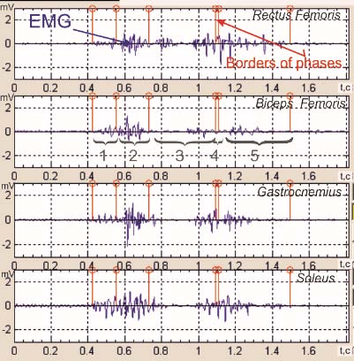 Figure 3: The time structure of the motion "jump up"