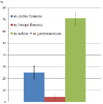 Figure 4 shows an example of the EMG pattern of the motion "jump up". The figure shows the normalized electromyograms of muscles m. rectus femoris, m. biceps femoris, m. gastrocnemius lateralis and m. soleus of the right leg, and markers of the movement phases borders corresponding to the time moments "start of the movement '', "heel separation from the ground'', ''toe separation from the ground'', "toe touching with the ground'', "heel touching with the