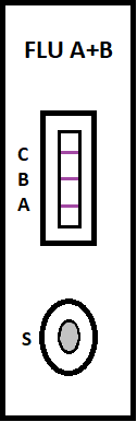 Figure 8: Specimen Image Processing after 15 minutes c) Gray-value CalculationThe program also calculates the gray changes of the test region. It averages the values of each row in the test region, and subtracts the initial numbers from those of later times. Significant changes in gray value indicate test lines, as illustrated in Figure9. The horizontal axis represents the row position of the test region, as 0 being the top-most row. The vertical axis denotes the difference of gray values between the initial specimen and the specimen after 15 minutes. Three peaks appear in positions that correspond to the three stripes.