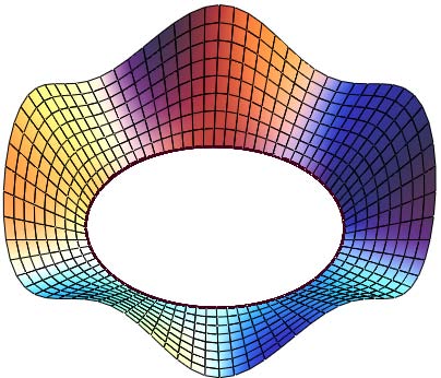 Coefficients of the fundamental forms: