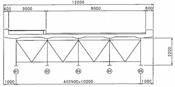 Fig. 4: Structural general view of pier