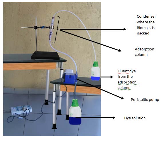 Fig. 1: Fixed bed technique apparatus
