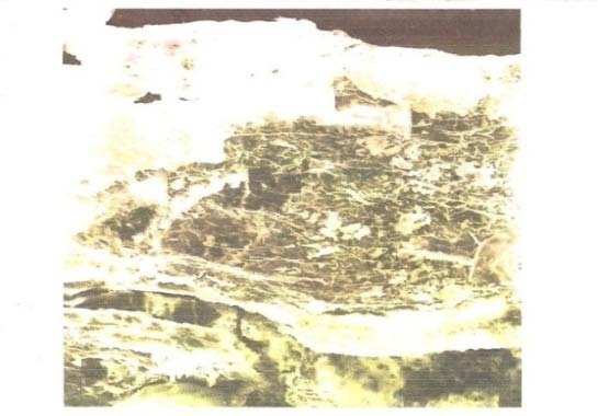 Fig.7: Effect of flow rate on the fixed bed adsorption of methylene blue dye on to Sphagnum cymbifolium (moss)