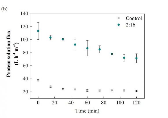 Figure 5: Performance of the control and modified UH050 membrane with concentrations of 2:2; 2:4 and 2:16 mg mL-1 of DA/PVP and deposition time of 2 h in the BSA protein solution filtration with concentration of 2.5 mg mL-1 g. (a) Initial hydraulic permeance and protein retention, (b) permeate flux curve of the protein solution and, (c) recovery of hydraulic permeance after physical and chemical cleaning procedure.