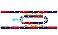 Figure 3 : Principle of Propulsion