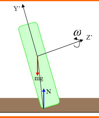 Figure 2 : Example of the dynamic behaviour of a rotating ball